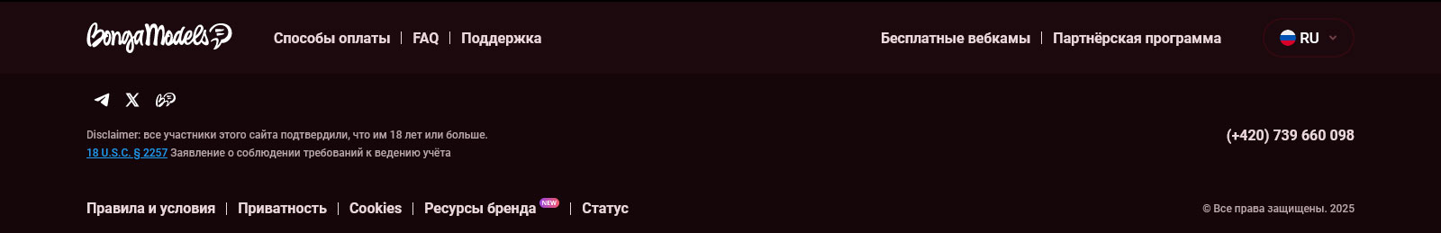 Работа веб-моделью